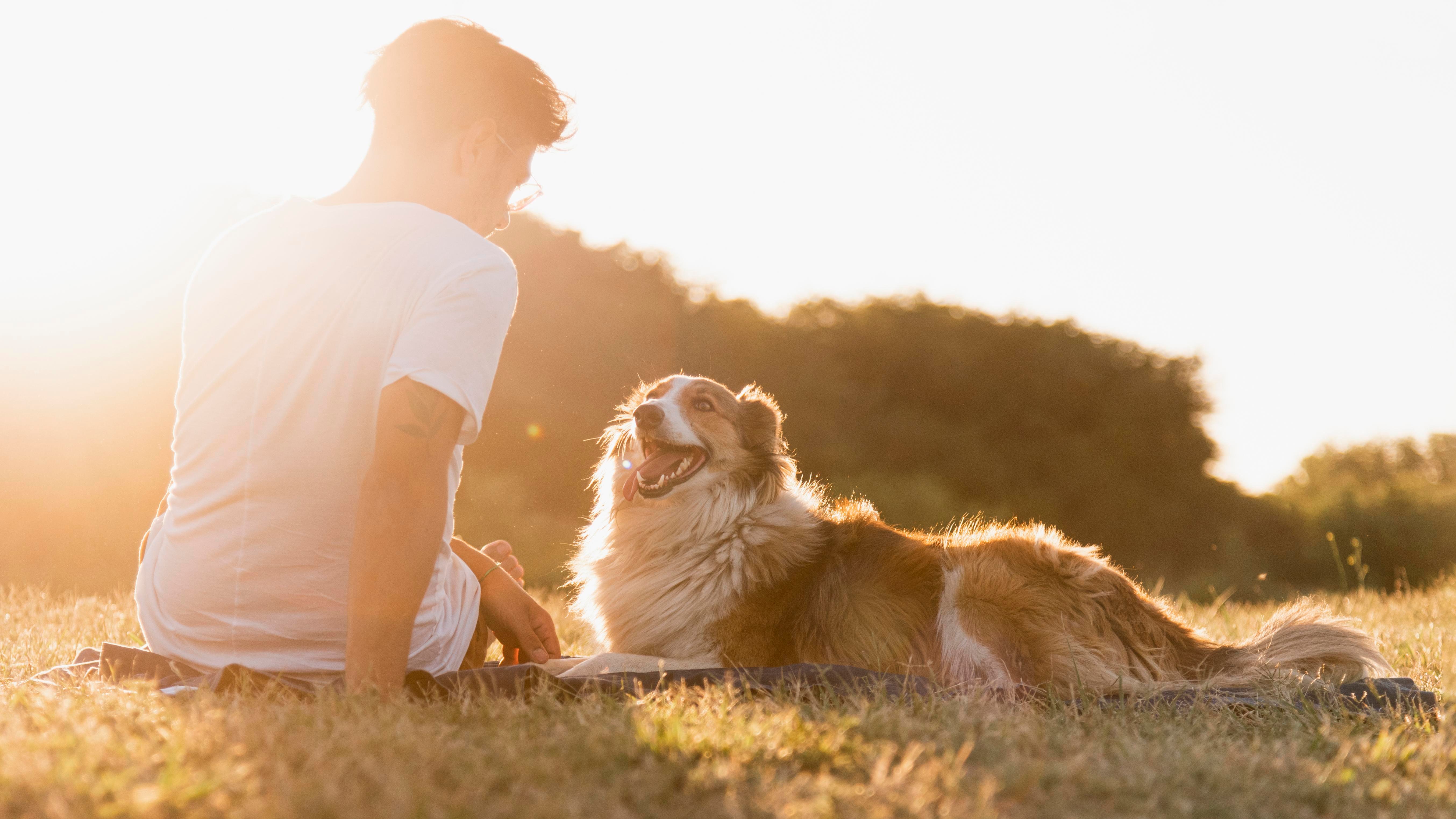 Young man and dog enjoying sunset together