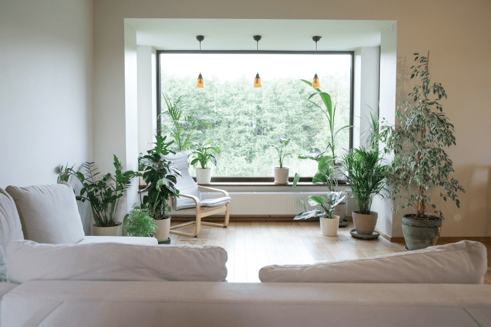 sustainable interior design ideas for your home remodel living room with plants custom built michigan