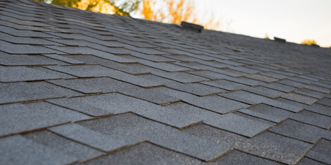 asphalt roofing shingles an honest review rooftop with tree branches leaning custom built michigan