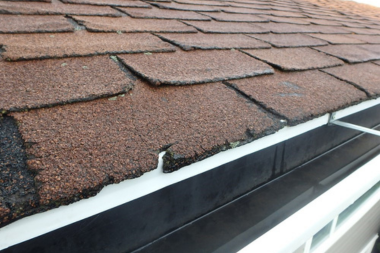 crumbling asphalt shingle due to water damage in Greater Lansing Area