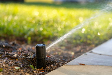 front yard sprinkler at Lansing home
