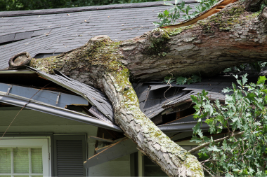 Greater Lansing roof damaged by tree debris after storm