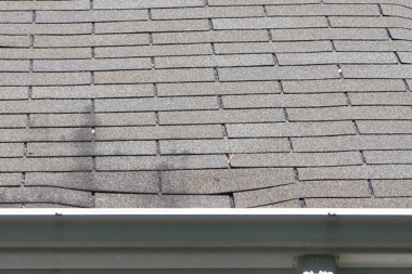 signs you may need a roof replacement in michigan spongy and sagging roof shingles near gutters custom built okemos