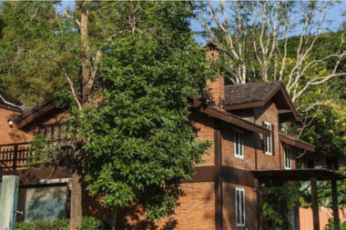 ways you can increase the lifespan of your michigan roof overgrown tree hanging over rooftop custom built mi