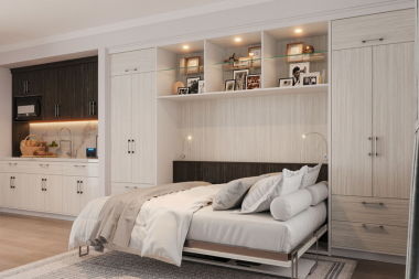 top basement layout design ideas for your home remodel multi functional murphy bed with closet storage custom built michigan