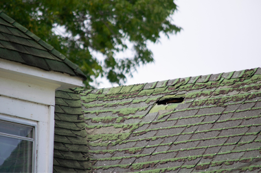 why roofing inspections are critical to ensuring the longevity of your roof moss growing on older shingles custom built michigan