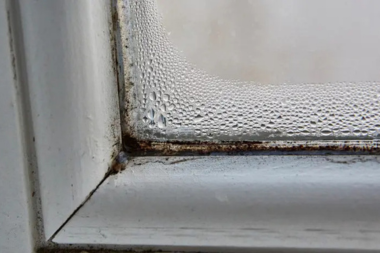 Greater Lansing window replacement company and remodeler