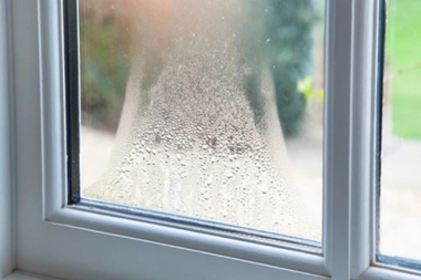Greater Lansing home with window condensation