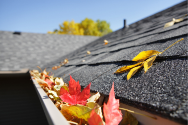 seasonal landscaping tips for year round beauty roofing gutters with autumn leaves custom built michigan