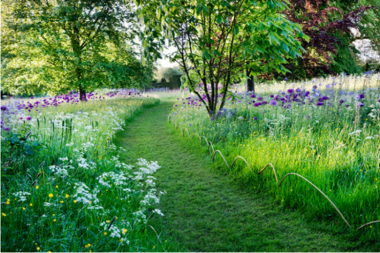 top pathway and walkway ideas for your michigan outdoor living space natural grass and flower path in front yard custom built okemos