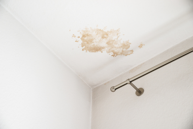 ultimate michigan roof maintenance guide interior ceiling water stains from roofing leak custom built okemos