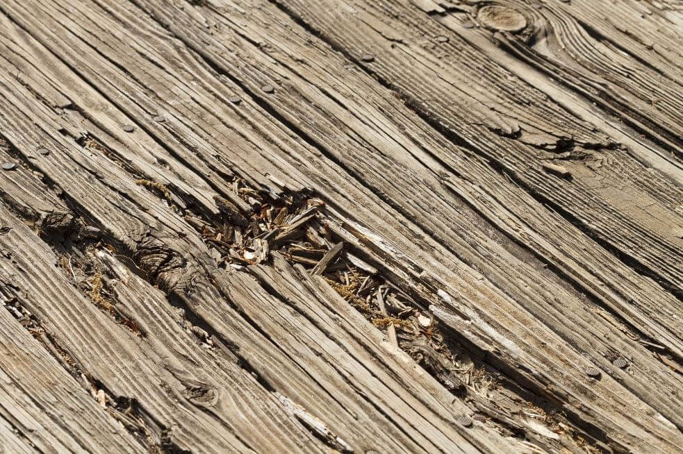 Decaying wooden deck board